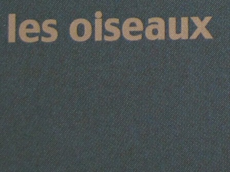 sensibilité de l'APN en digiscopie 1