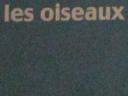 sensibilité de l'APN en digiscopie 2